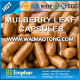 OEM High Quality Antioxidant White Mulberry Leaf Powder Pill